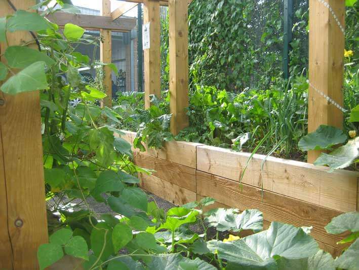 Perseid Upper School - Growing Garden by Petrow Harley